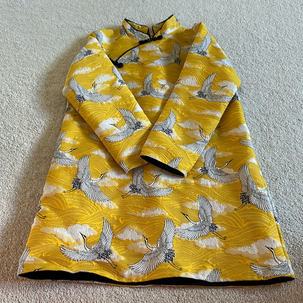 Girl Chinese Qipao in a modern style